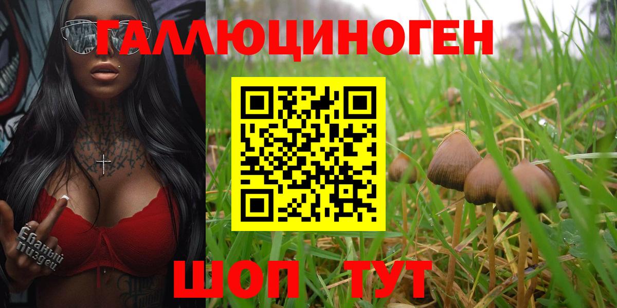 Черняховск  Псилоцибиновые грибы Magic Shrooms  Галлюциногенные грибы мухоморы  Вход с VPN 